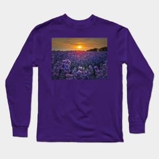 lavender field in sunset beams Long Sleeve T-Shirt